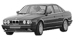 BMW E34 P0493 Fault Code